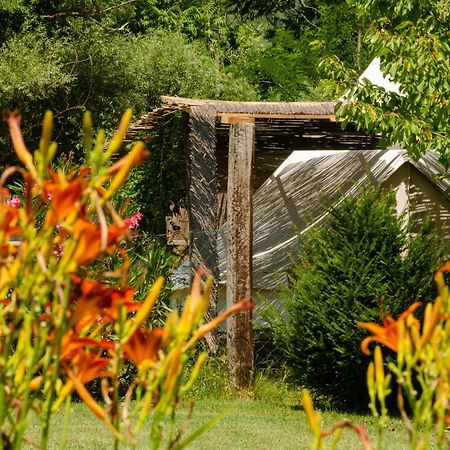 ホテルOk Koral Nature Holidays ヴィルパザル エクステリア 写真