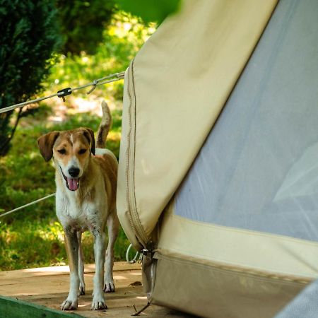 ホテルOk Koral Nature Holidays ヴィルパザル エクステリア 写真